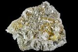Anatase Crystals, Quartz and Adularia - Norway #111425-1